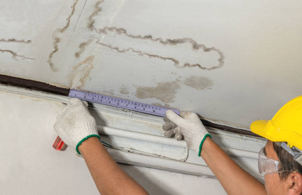 Affordable Ceiling Water Damage Repair solutions in Newtown, CT